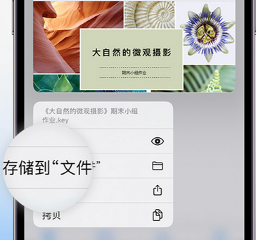 卡若apple维修中心分享iPhone文件应用中存储和找到下载文件