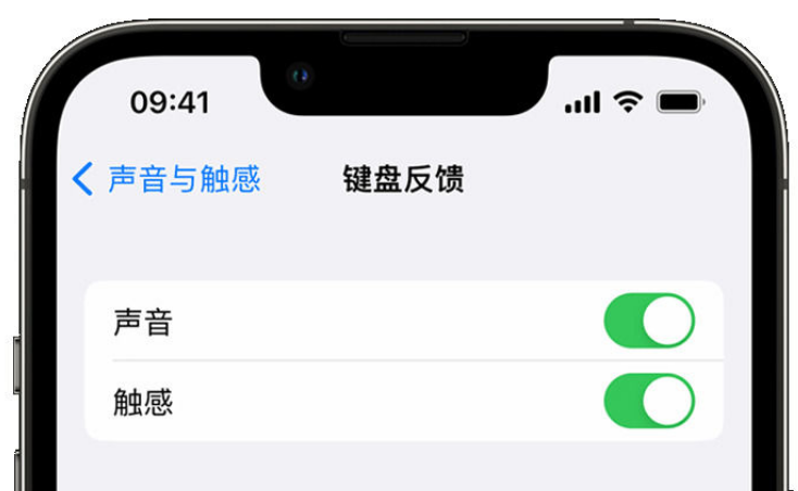 卡若苹果手机维修分享iPhone 14触感键盘使用方法 