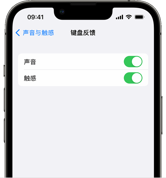 卡若苹果14维修店分享如何在 iPhone 14 机型中使用触感键盘 