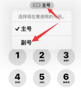 卡若苹果14维修店分享iPhone 14 Pro Max使用副卡打电话的方法 