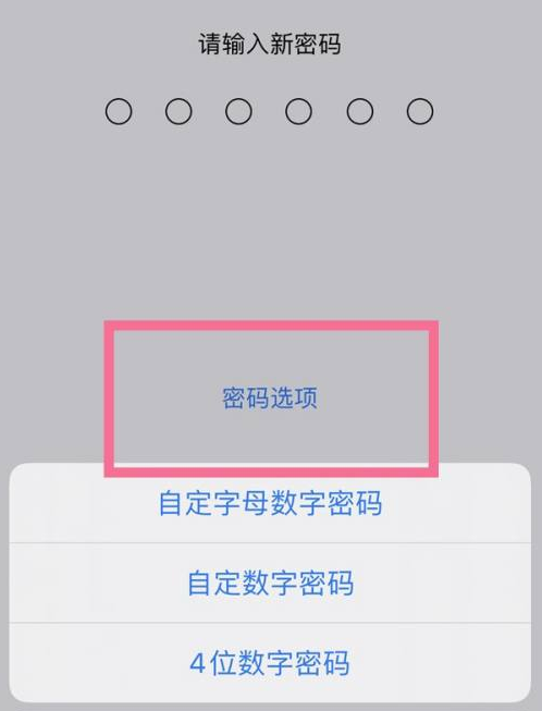 卡若苹果14维修分享iPhone 14plus设置密码的方法 