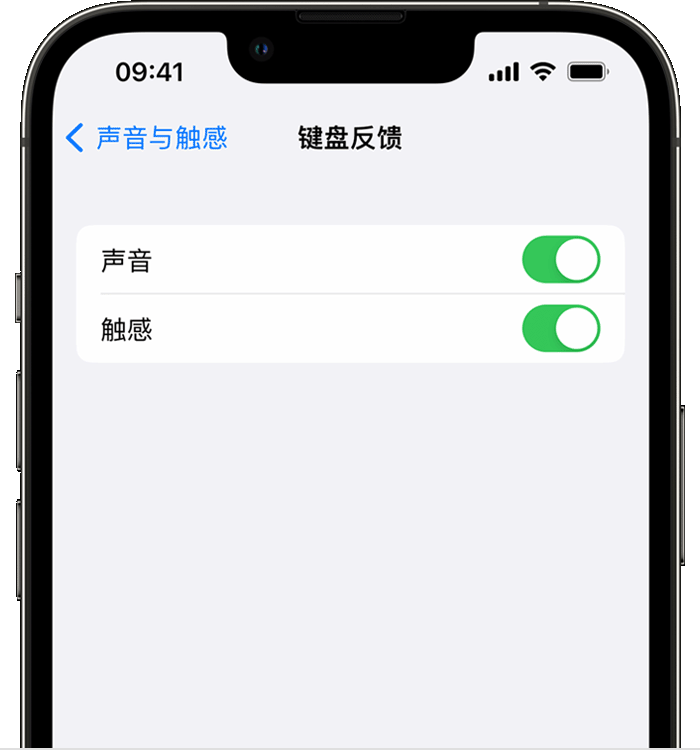 卡若苹果14维修分享iPhone 14 系列机型如何开启键盘声音或触感反馈 