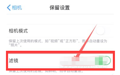 卡若苹果13维修分享iPhone13拍照有绿点是怎么回事 