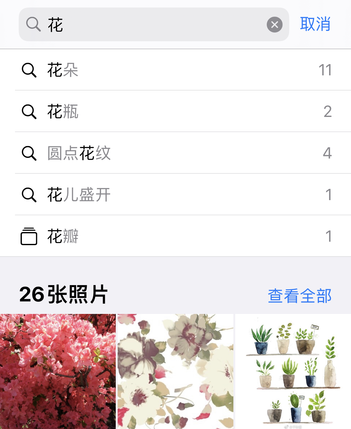 卡若苹果手机维修分享iPhone 小技巧 