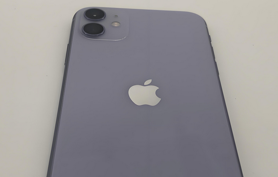 卡若苹果11系统维修分享iPhone11手机系统崩溃无法开机如何解决 